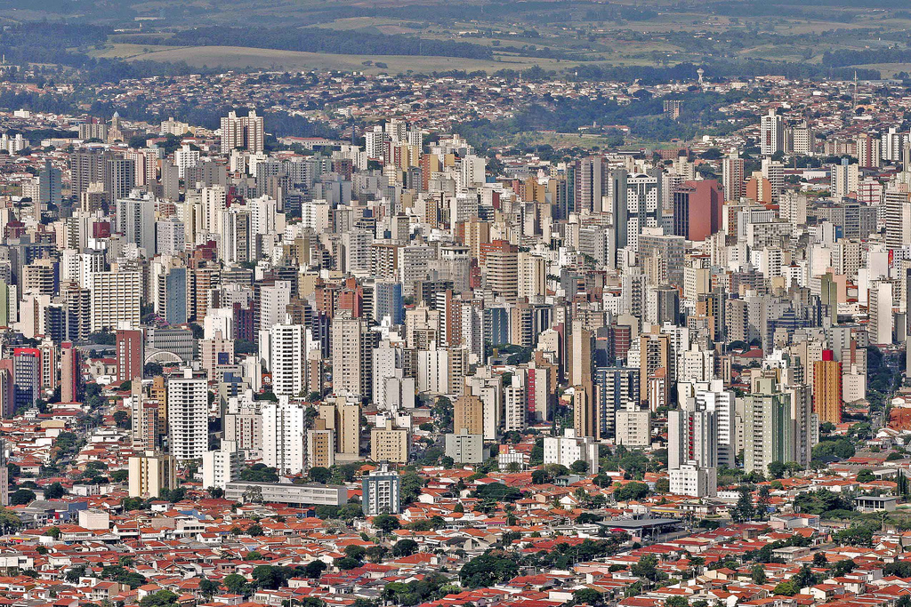 DDD 19 - Campinas - SP